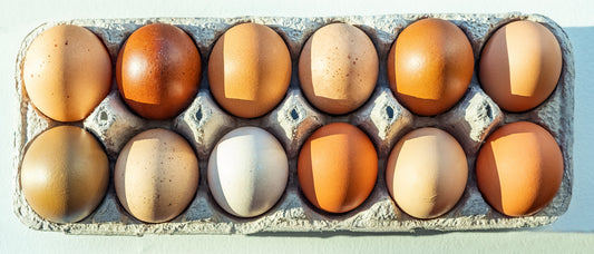 Tenfold Farms pasture-raised eggs